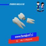Pendrive Muela