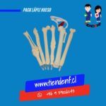 Pack Lápiz Hueso 6 modelos