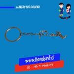 Llavero Ecg Cigüeña