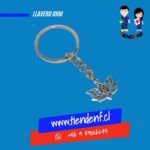 Llavero OHM