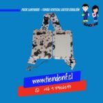 Pack Lanyards Gatito Corazón Funda Vertical