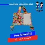 Pack Lanyards Flores Funda Vertical