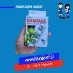 Parche Curita Lagarto